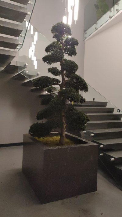 YG Headquarters Office Building